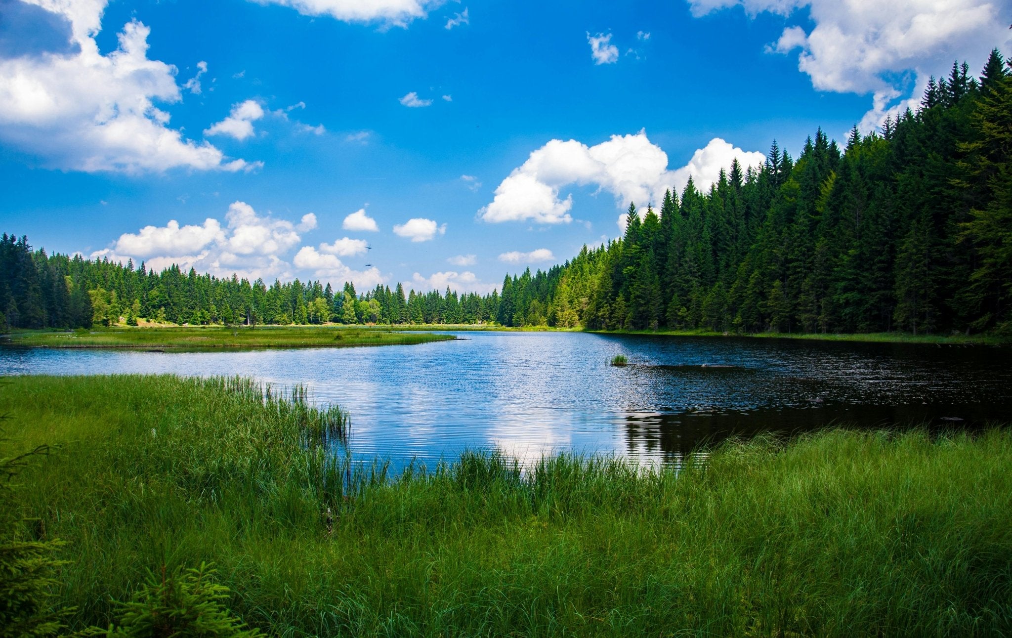 Hiking Outdoor Scenery at Lake